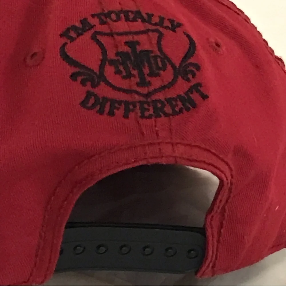 B & F - IMTD I'm Totally Different SnapBack Cap